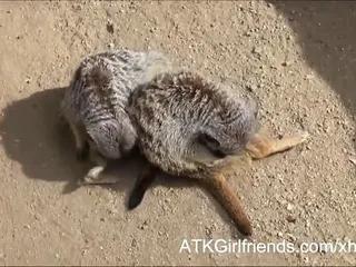 Mary Jane Mayhem bekommt eine ladung Sperma